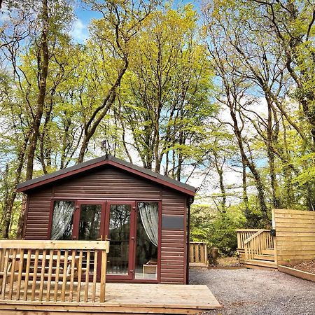 Woodland View -Hot Tub-Tenby-Carmarthen-St Clears Ngoại thất bức ảnh