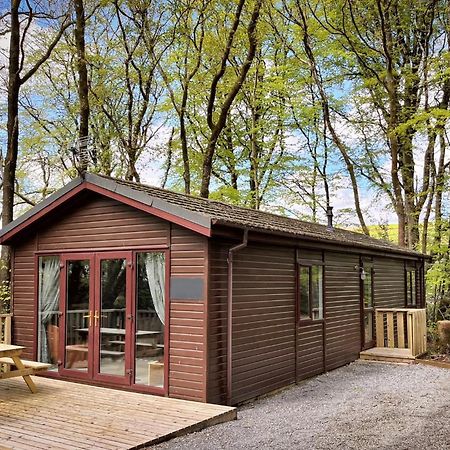 Woodland View -Hot Tub-Tenby-Carmarthen-St Clears Ngoại thất bức ảnh