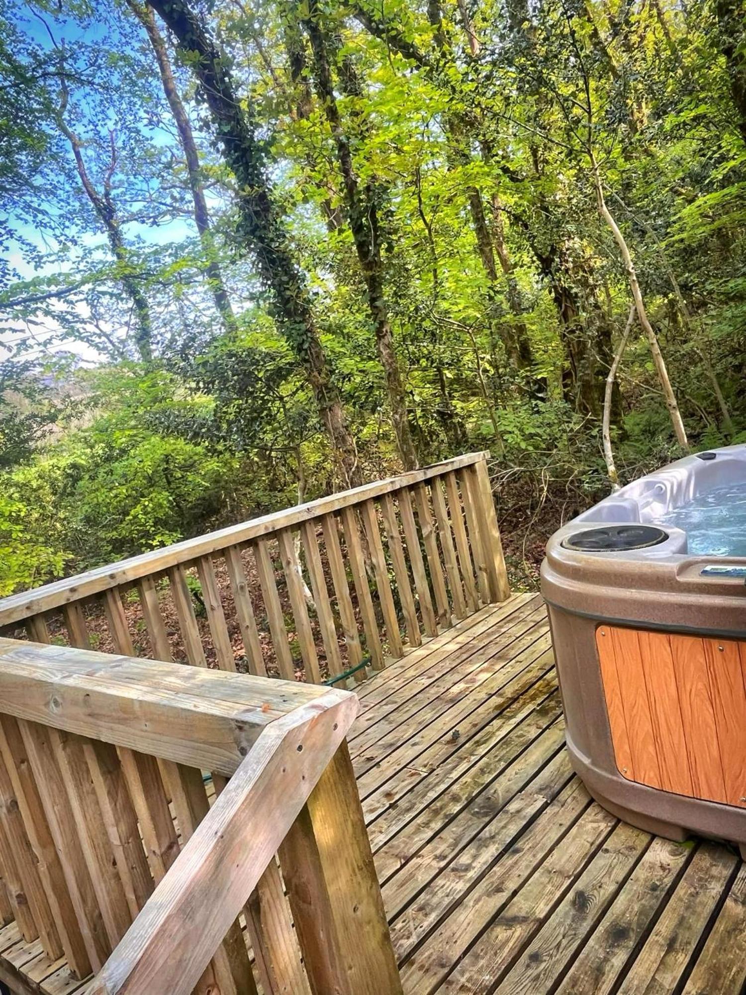 Woodland View -Hot Tub-Tenby-Carmarthen-St Clears Ngoại thất bức ảnh